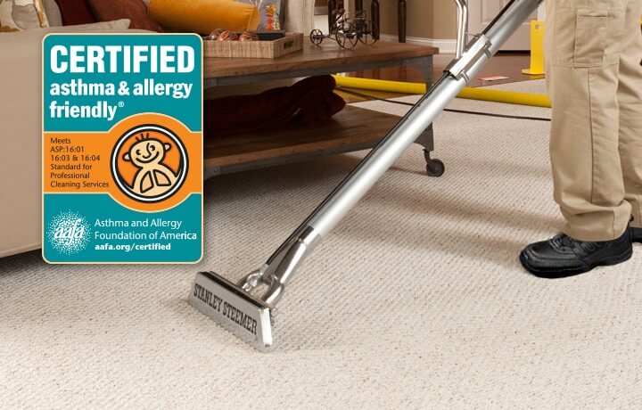 stanley steemer allergy cleaning
