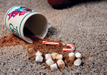 Hot chocolate spilled all over carpet