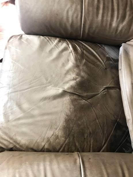 Dull leather couch cleaned and renewed with Stanley Steemer leather couch cleaning in Saginaw