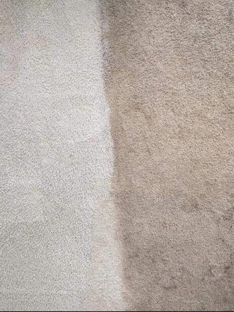 Before and after carpet cleaning from Stanley Steemer Saginaw
