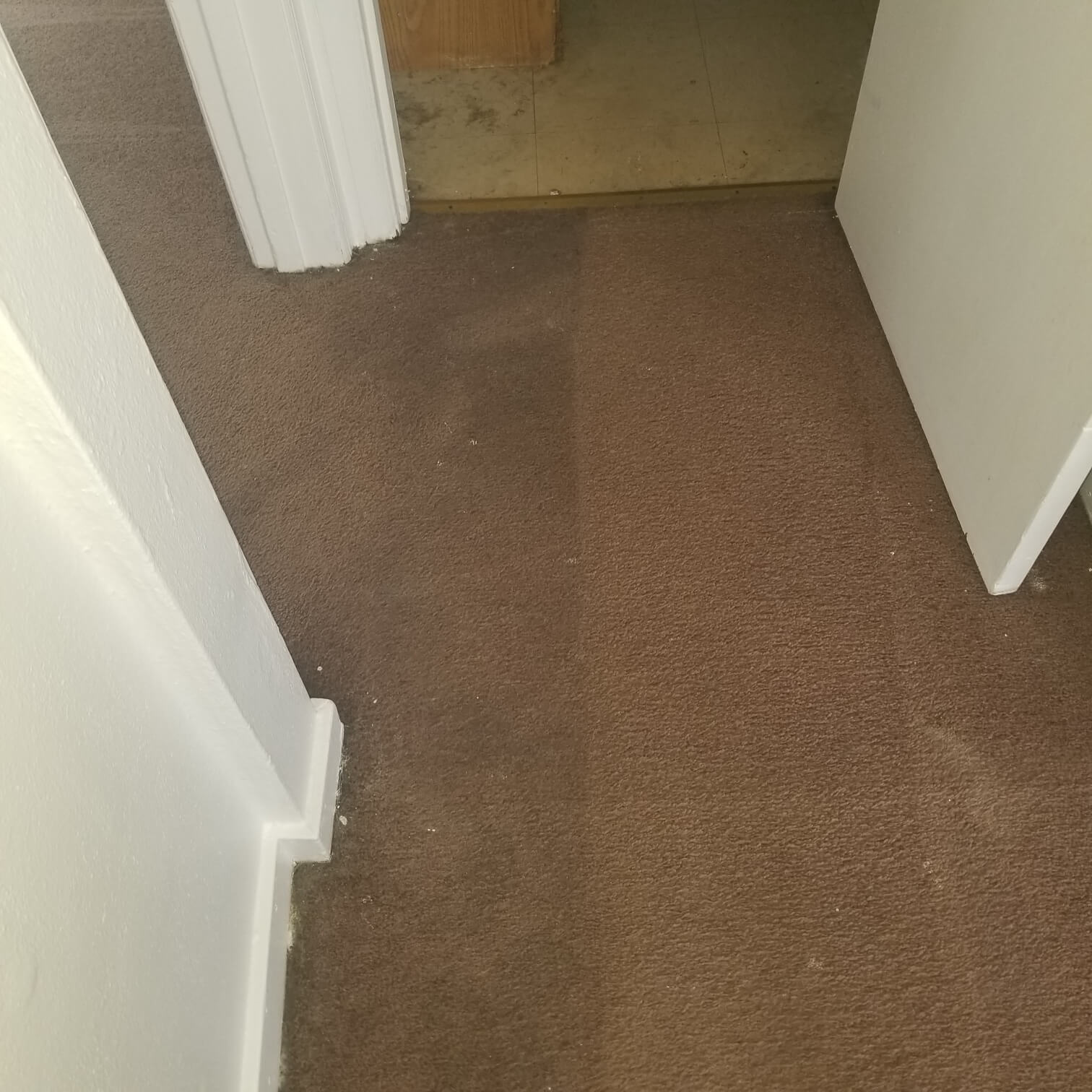 Before and after of a newly cleaned carpet from Stanley Steemer Rockford