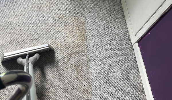 carpet-cleaning-in-new-bern-nc-1
