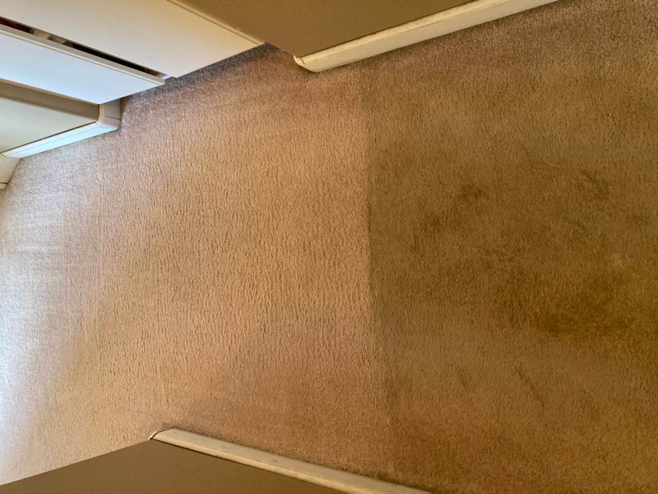 Carpet-Cleaning-Before-and-After