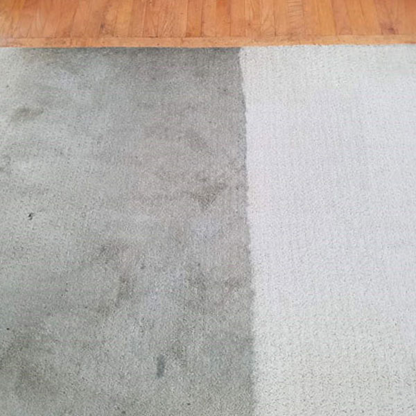 stanley-steemer-saginaw-flint-mi-carpet-cleaning-before-and-after-1