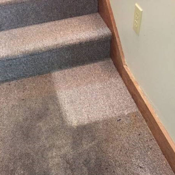 stanley-steemer-saginaw-flint-mi-carpet-cleaning-before-and-after-2