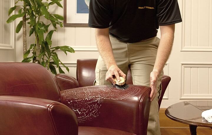 Furniture And Upholstery Cleaning Stanley Steemer