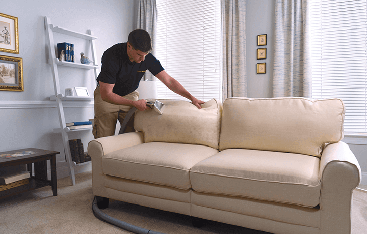 Stanley Steemer tech cleaning couch Stanley Steemer technician cleaning couch in living room