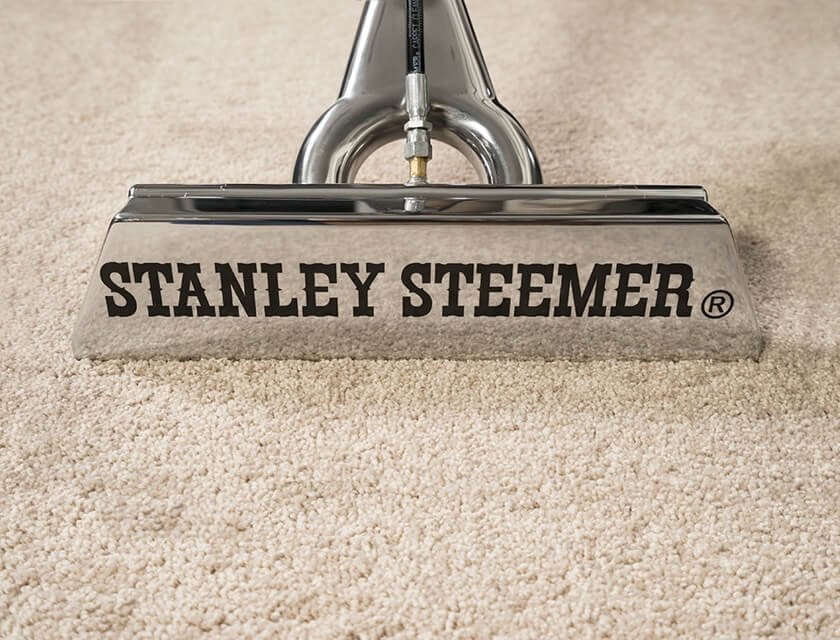 Home Business Cleaning Services Stanley Steemer