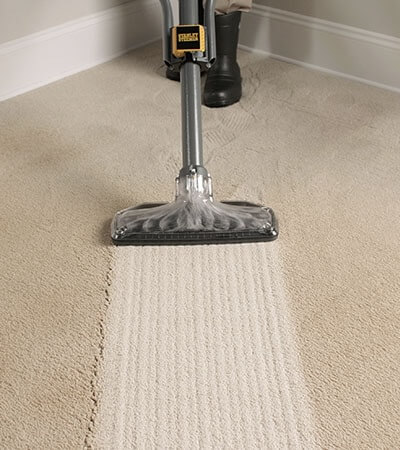 Amazon Com Stanley Steemer Hardwood Cleaner Kitchen Dining