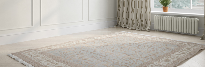 Oriental rug in empty living room