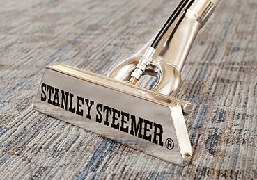 Stanley Steemer wand cleaning carpet