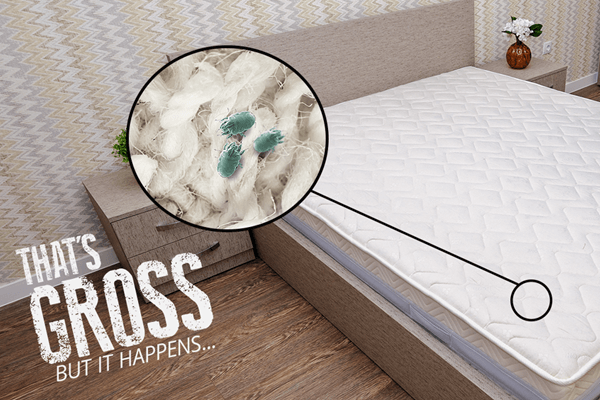 can dust mites escape mattress