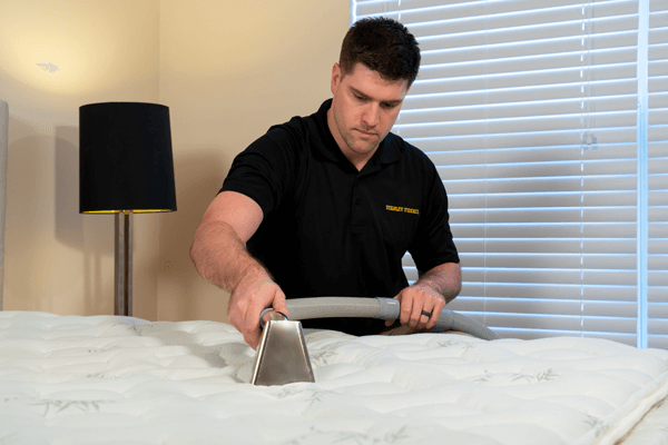 stanley steemer cleaning foam mattress