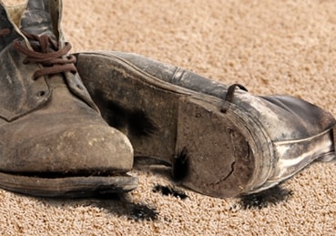 Dirty pair of work boots sitting on carpet. 