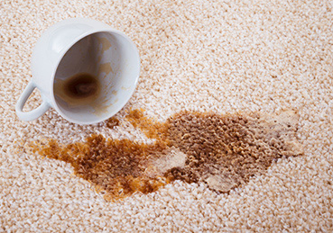 Coffee mug tipped over on carpet with coffee stain. 